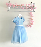 Kids Baby Blue Sequins Glitter Dress - Flower Girls Dress - Wedding Party Tutu - Birthday Party - Photo Shoot Special Occasion +More Colours - Lilas Closet