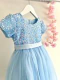 Kids Baby Blue Sequins Glitter Dress - Flower Girls Dress - Wedding Party Tutu - Birthday Party - Photo Shoot Special Occasion +More Colours - Lilas Closet