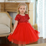 Kids Red Sparkly Christmas Dress - Girls Tulle Glitter Flower Girls Dress - Photo-Shoot - Lilas Closet
